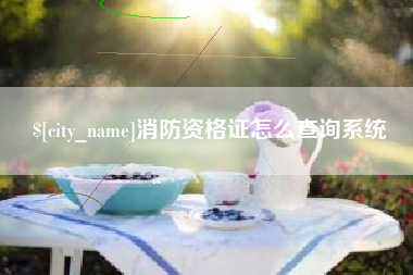 新乡消防资格证怎么查询系统