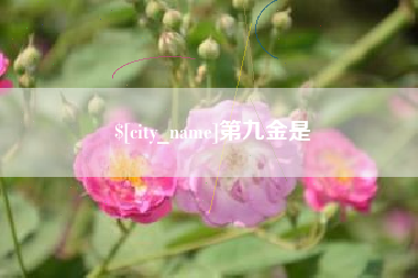 新乡第九金是