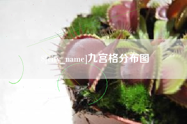 新乡九宫格分布图