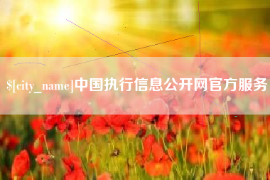 新乡中国执行信息公开网官方服务
