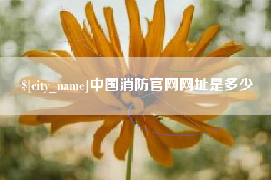 新乡中国消防官网网址是多少