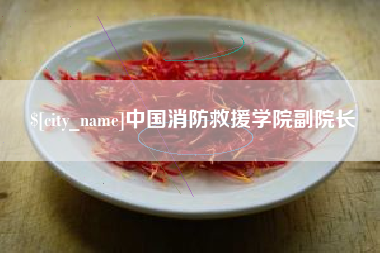 新乡中国消防救援学院副院长