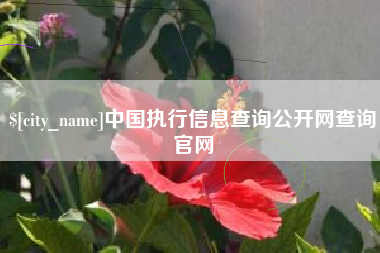 新乡中国执行信息查询公开网查询官网