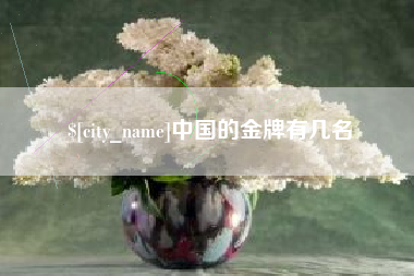 新乡中国的金牌有几名