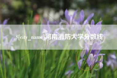 新乡河南消防大学分数线