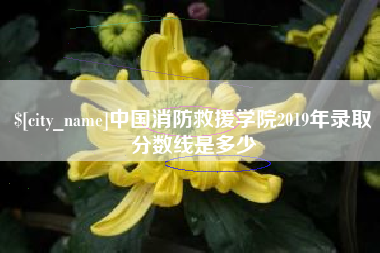 新乡中国消防救援学院2019年录取分数线是多少