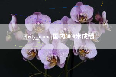 新乡国内5000米成绩