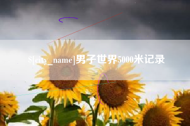 新乡男子世界5000米记录