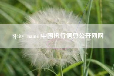 新乡中国执行信息公开网网