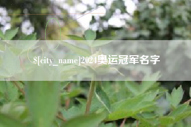 新乡2024奥运冠军名字
