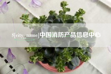 新乡中国消防产品信息中心