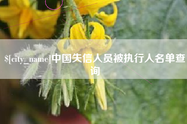 新乡中国失信人员被执行人名单查询