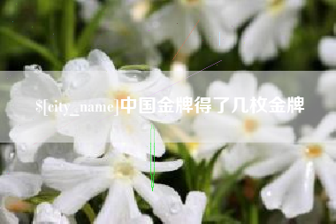 新乡中国金牌得了几枚金牌