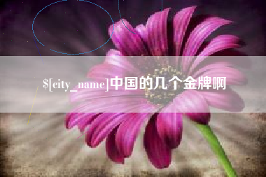 新乡中国的几个金牌啊