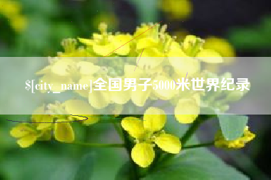 新乡全国男子5000米世界纪录