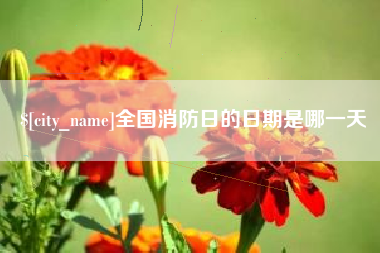 新乡全国消防日的日期是哪一天