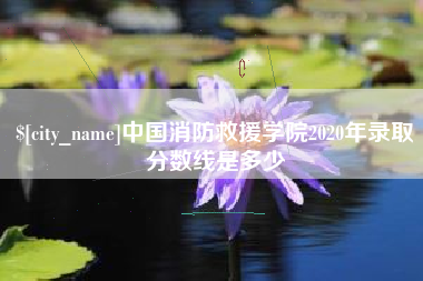 新乡中国消防救援学院2020年录取分数线是多少