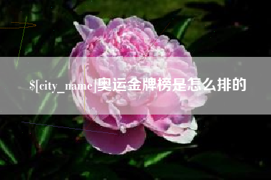 新乡奥运金牌榜是怎么排的