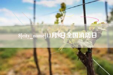新乡11月9日全国消防日