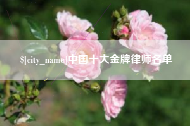 新乡中国十大金牌律师名单