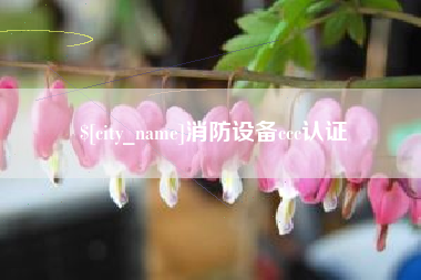新乡消防设备ccc认证