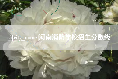 新乡河南消防学校招生分数线