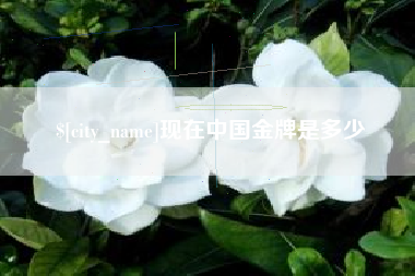 新乡现在中国金牌是多少