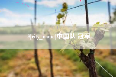 新乡中国队 冠军