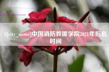 新乡中国消防救援学院2021年报名时间