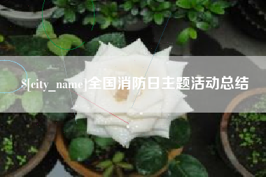 新乡全国消防日主题活动总结
