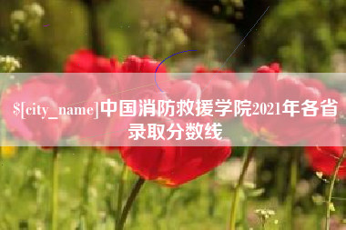 新乡中国消防救援学院2021年各省录取分数线