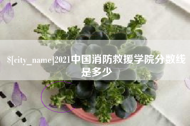 新乡2021中国消防救援学院分数线是多少
