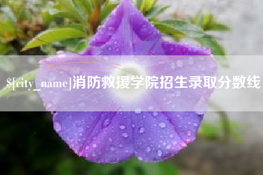 新乡消防救援学院招生录取分数线