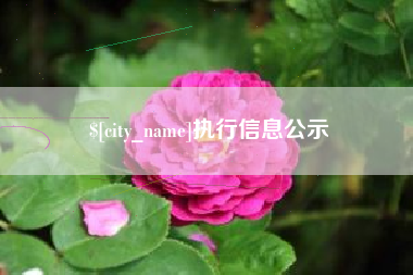 新乡执行信息公示