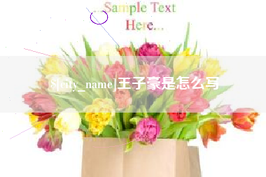 新乡王子豪是怎么写