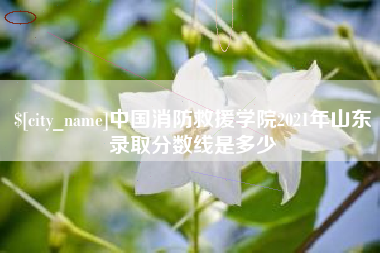 新乡中国消防救援学院2021年山东录取分数线是多少