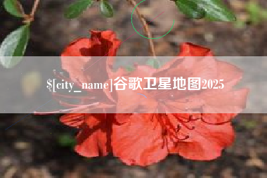 新乡谷歌卫星地图2025