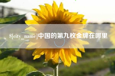 新乡中国的第九枚金牌在哪里