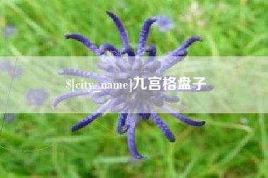 新乡九宫格盘子