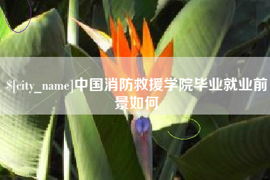 新乡中国消防救援学院毕业就业前景如何