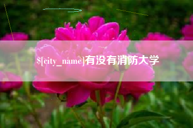 新乡有没有消防大学