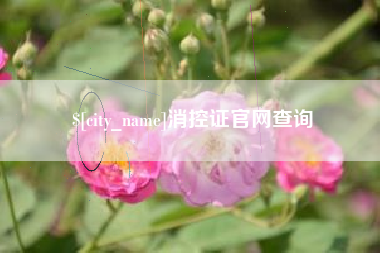 新乡消控证官网查询