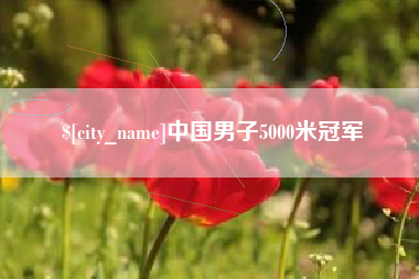 新乡中国男子5000米冠军