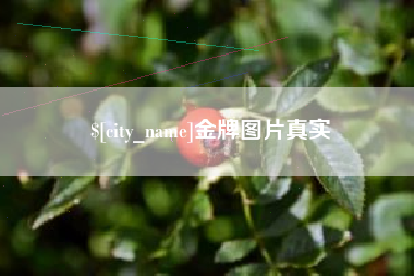 新乡金牌图片真实