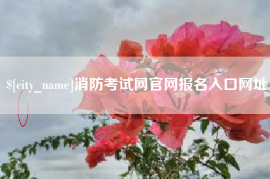 新乡消防考试网官网报名入口网址