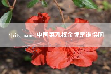 新乡中国第九枚金牌是谁得的