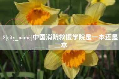 新乡中国消防救援学院是一本还是二本