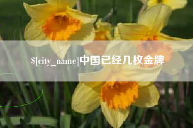 新乡中国已经几枚金牌