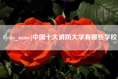 新乡中国十大消防大学有哪些学校