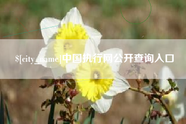 新乡中国执行网公开查询入口